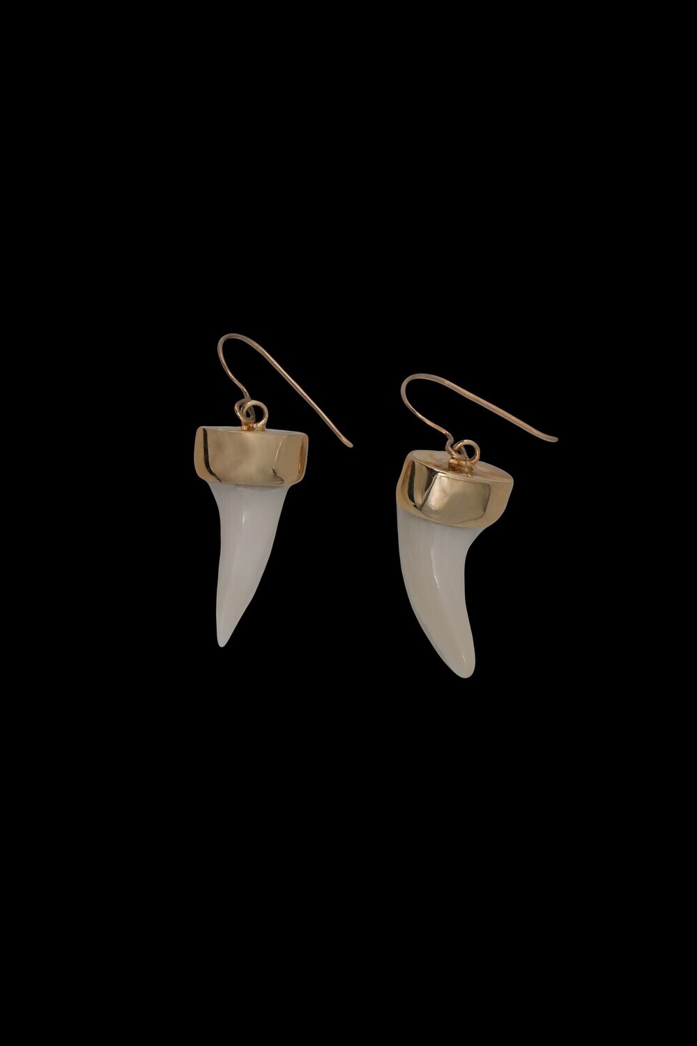 Genuine Sharks Tooth and 9ct Gold Drop Earrings