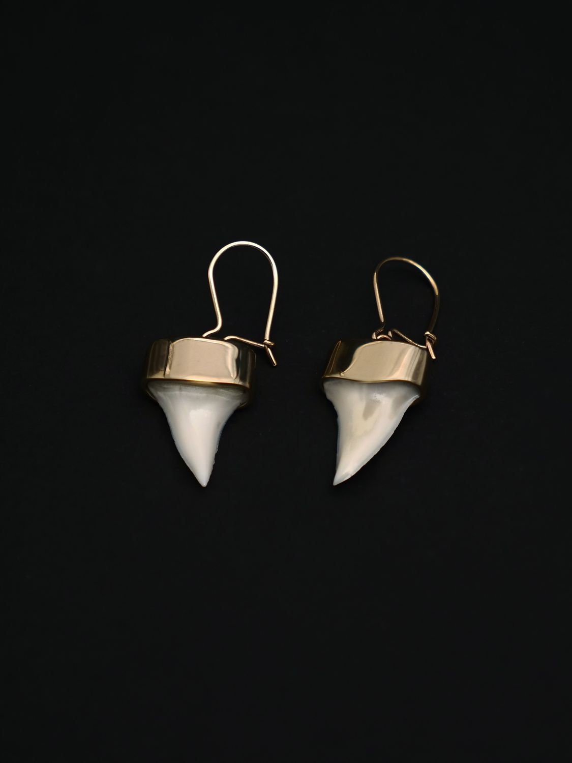 Moko Pounamu,  Genuine Mako Sharks Tooth and 9ct Gold Drop Earrings 11418