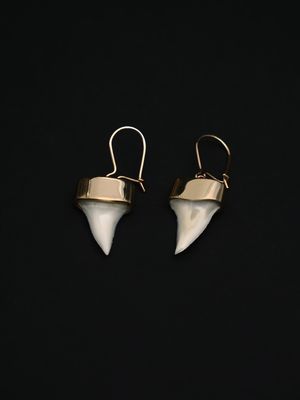 Moko Pounamu,  Genuine Mako Sharks Tooth and 9ct Gold Drop Earrings 11418