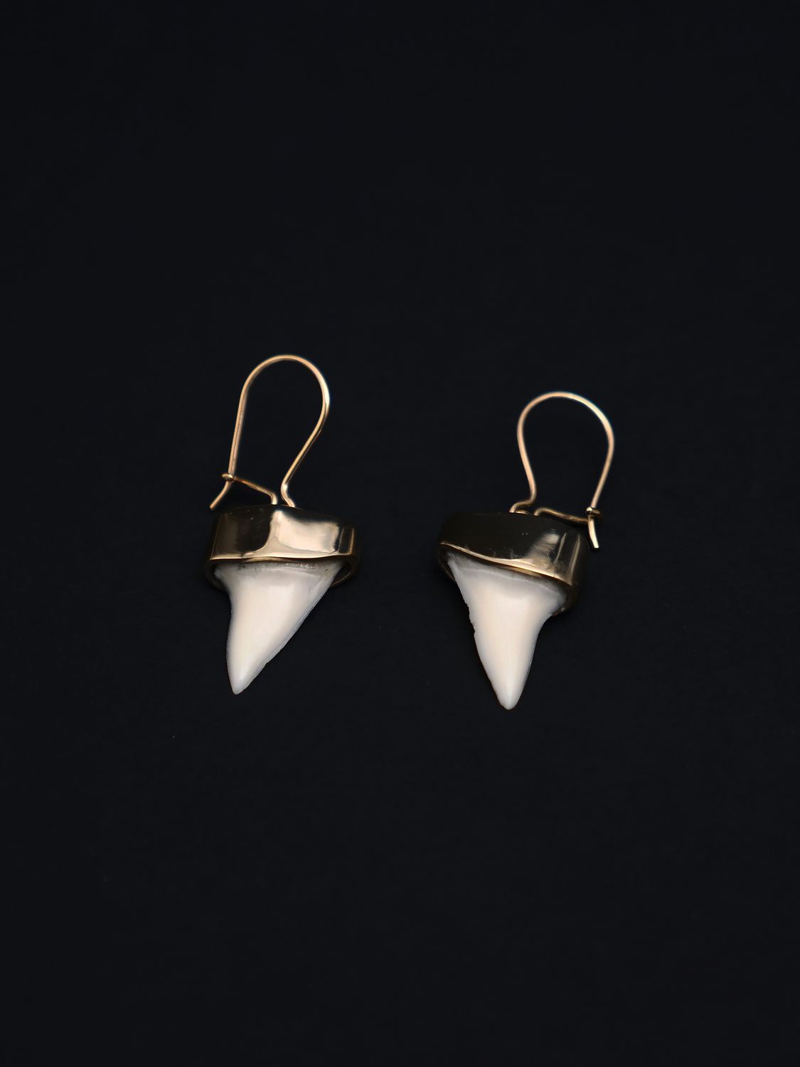 Moko Pounamu,  Genuine Mako Sharks Tooth and 9ct Gold Drop Earrings 11419