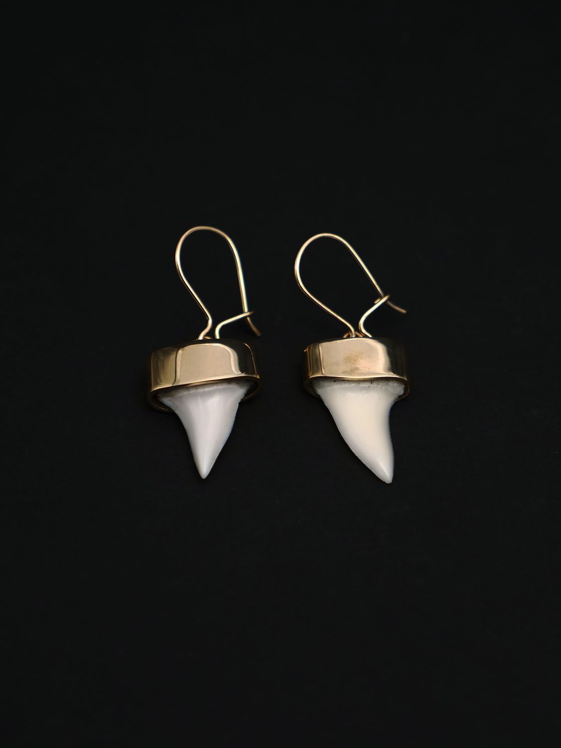 Moko Pounamu,  Genuine Mako Sharks Tooth and 9ct Gold Drop Earrings 11420