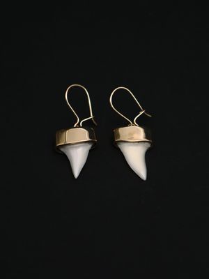 Moko Pounamu,  Genuine Mako Sharks Tooth and 9ct Gold Drop Earrings