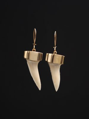 Moko Pounamu,  Genuine Mako Sharks Tooth and 9ct Gold Drop Earrings 12394