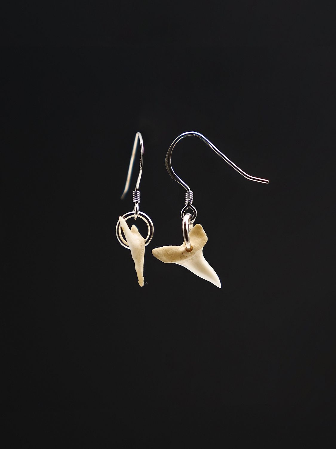 Moko Pounamu,  Genuine Shark Tooth with Sterling Silver Hook Earrings 13356