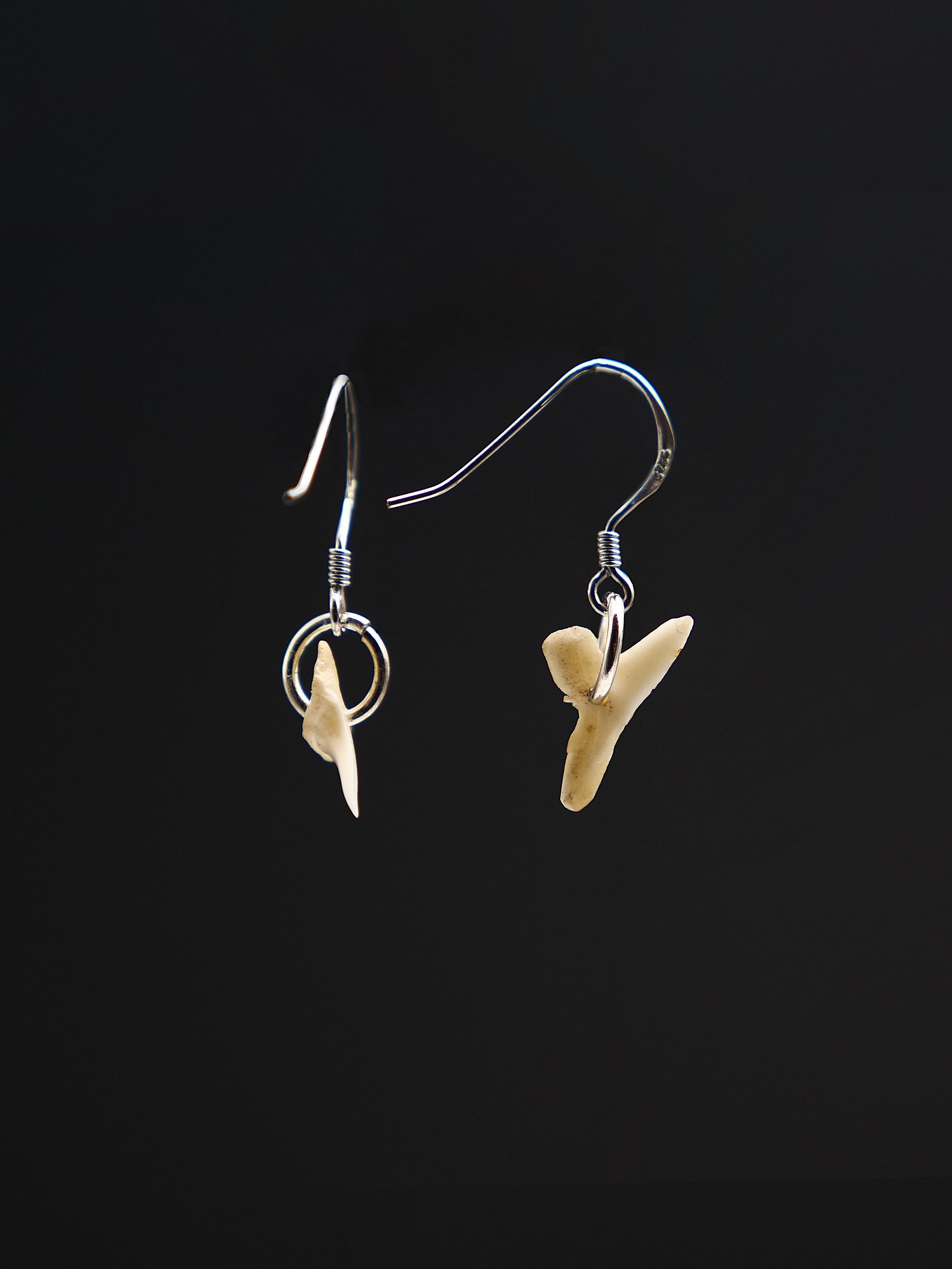 Moko Pounamu,  Genuine Shark Tooth with Sterling Silver Hook Earrings 13356