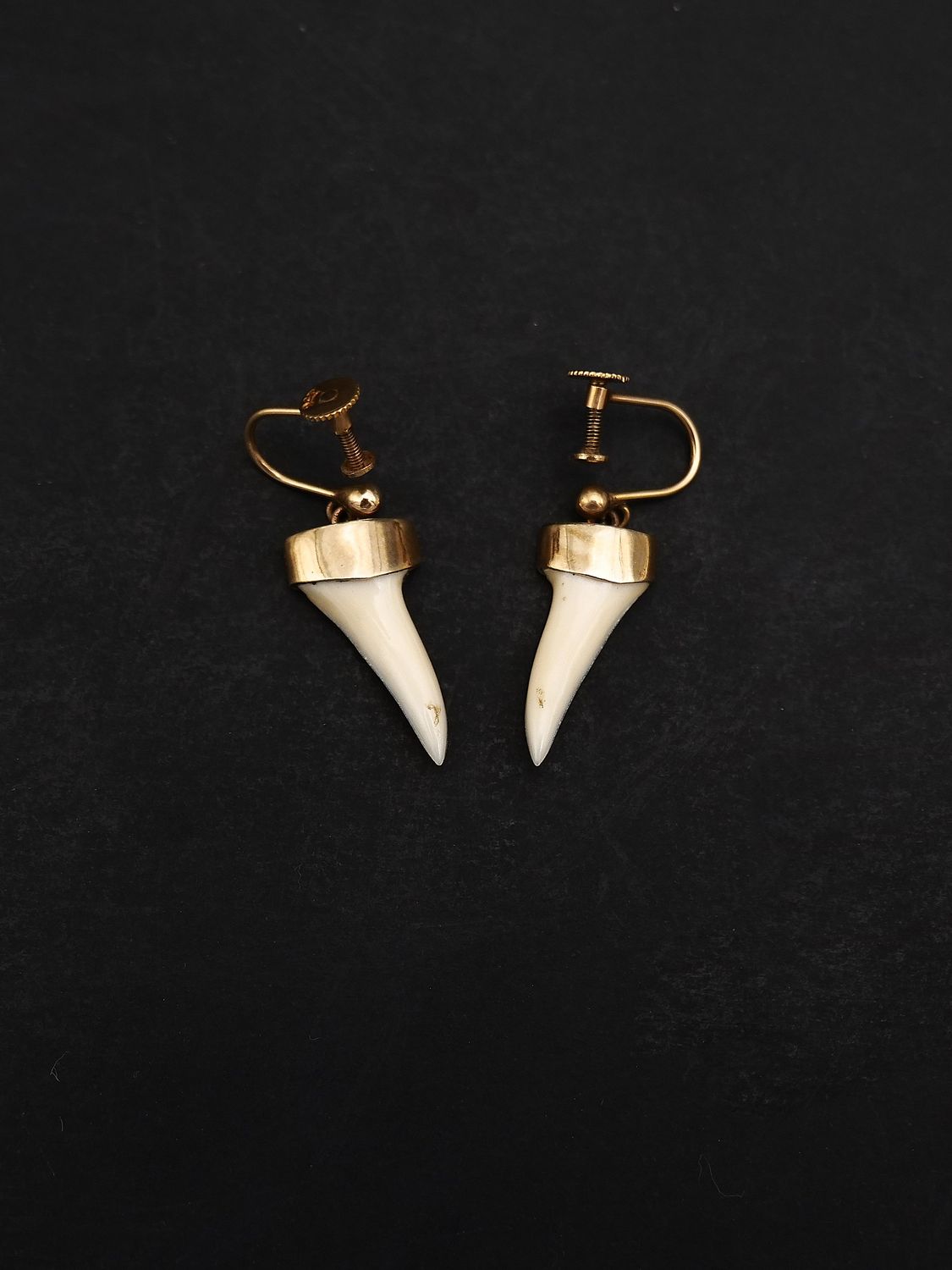 Moko Pounamu Antique Genuine Mako Shark Teeth, 9ct Rose Gold Screw On Earrings