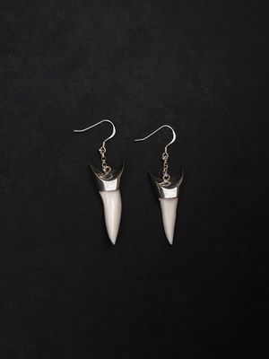 Moko Pounamu,  Genuine Mako Sharks Tooth and Sterling Silver Drop Earrings 14155