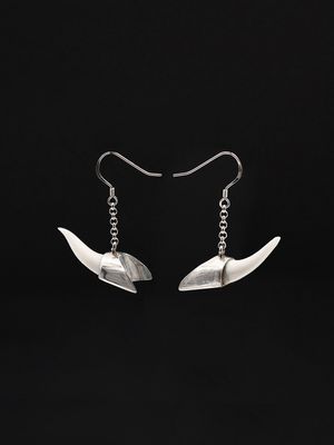 Moko Pounamu,  Genuine Mako Sharks Tooth and Sterling Silver Earrings 14376