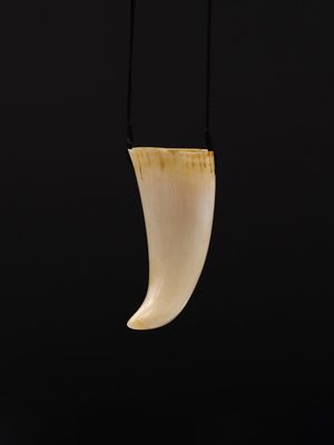 Moko Pounamu Rei Puta Genuine Whale Tooth - Mangatiti