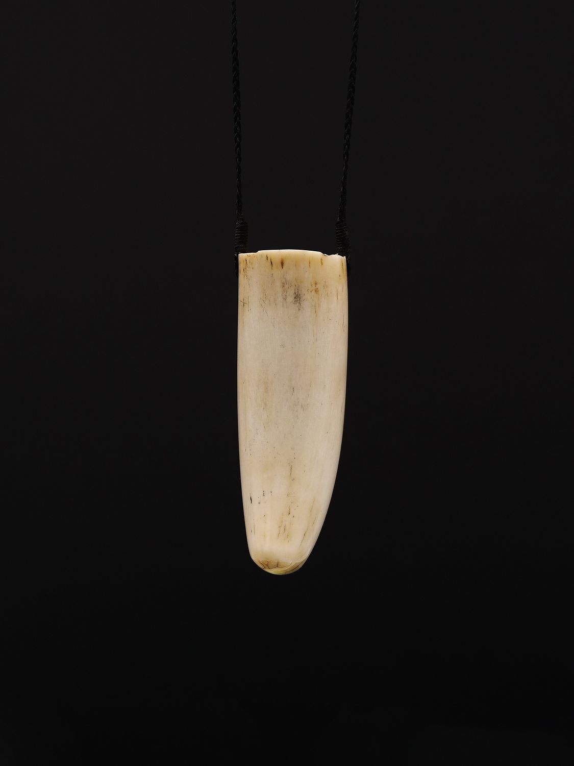 Moko Pounamu Rei Puta Genuine Whale Tooth - Mangamutu