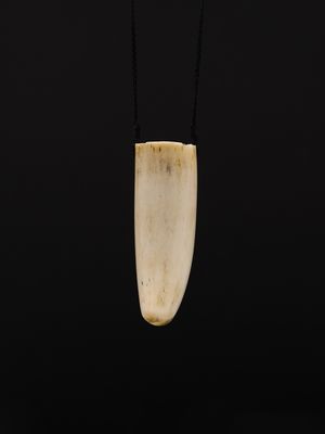 Moko Pounamu Rei Puta Genuine Whale Tooth - Mangamutu