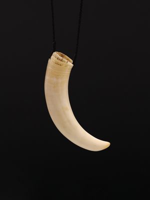 Moko Pounamu Rei Puta Genuine Whale Tooth - Awahuri