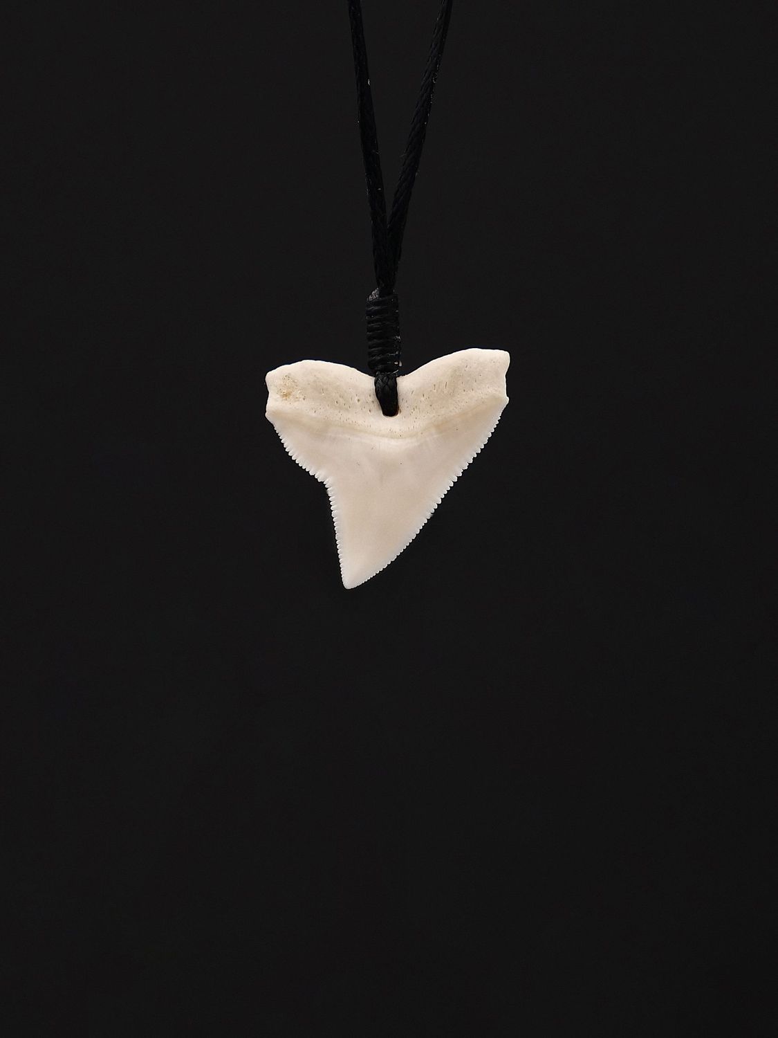 Moko Pounamu,  Genuine Shark Tooth - Taoroa