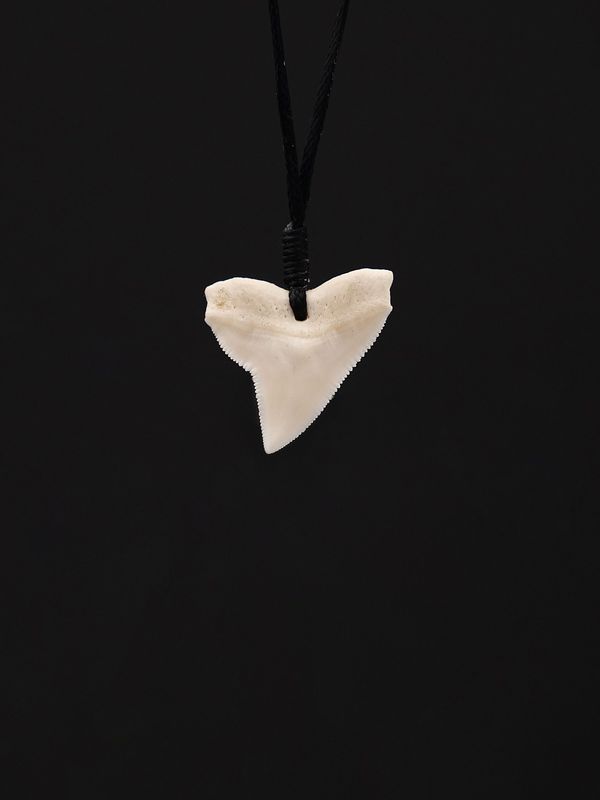 Moko Pounamu,  Genuine Shark Tooth - Taoroa