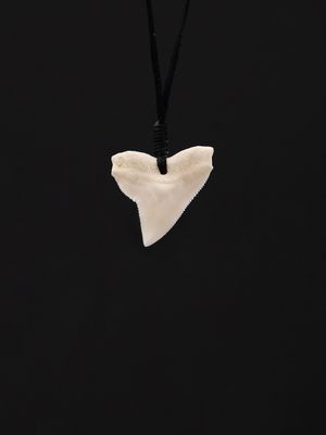 Moko Pounamu,  Genuine Shark Tooth - Taoroa