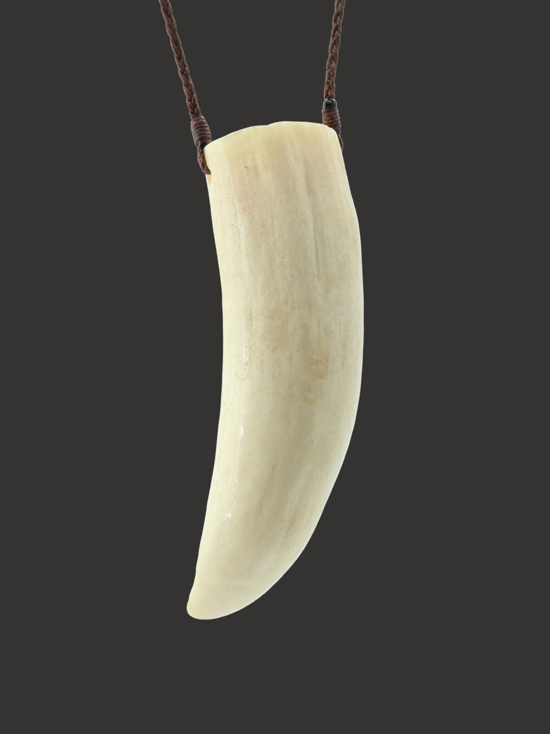 Moko Pounamu Rei Puta Genuine Whale Tooth - Tititewhao