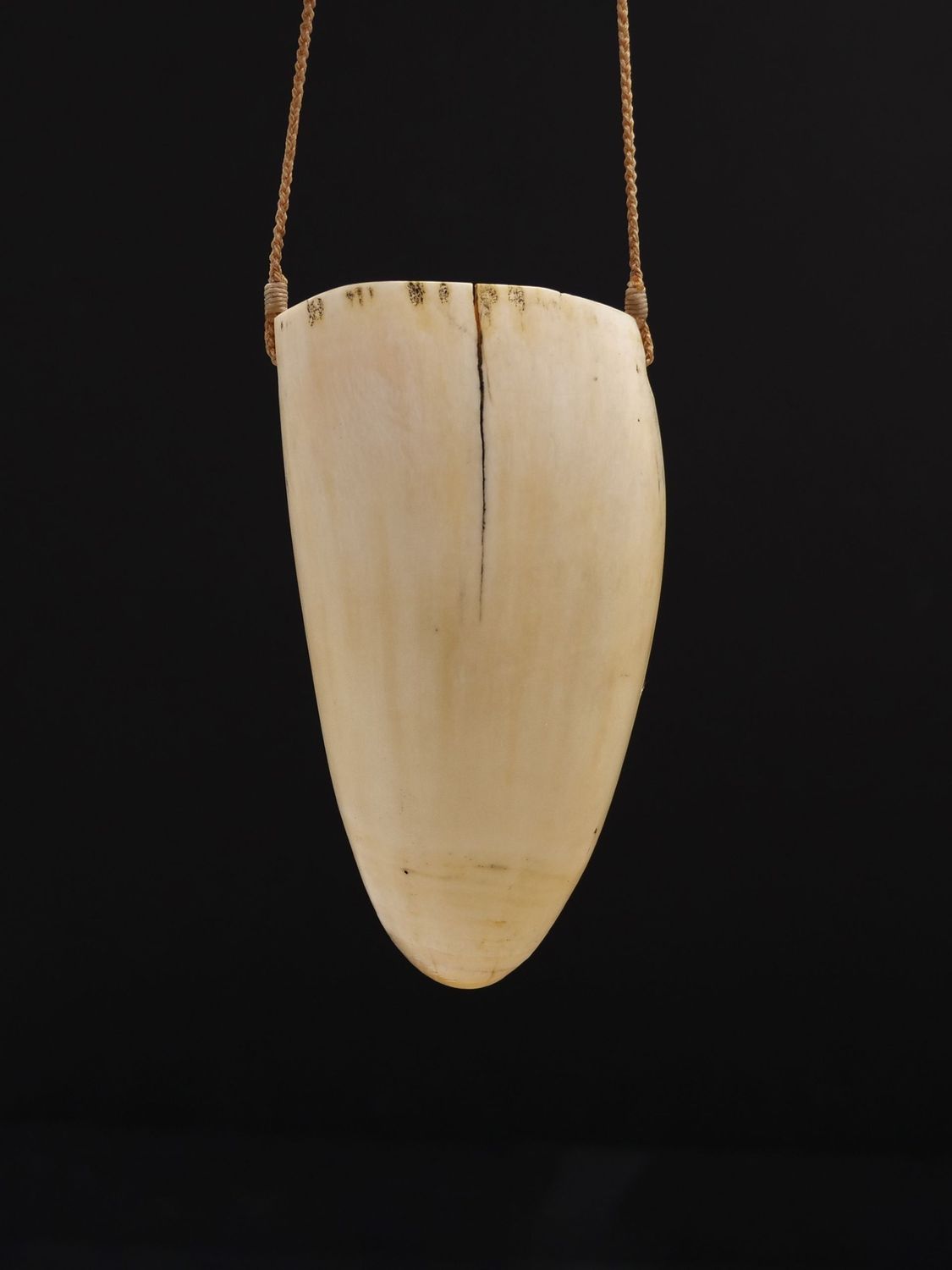 Moko Pounamu Rei Puta Genuine Whale Tooth - Kapiti