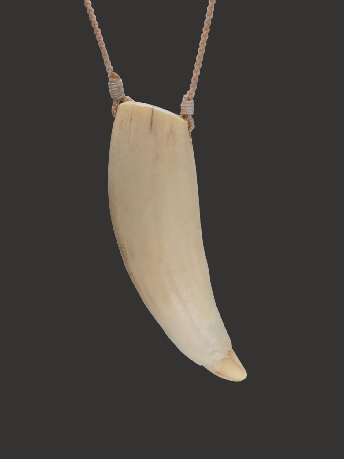 Moko Pounamu Rei Puta Genuine Whale Tooth - Kaimiro