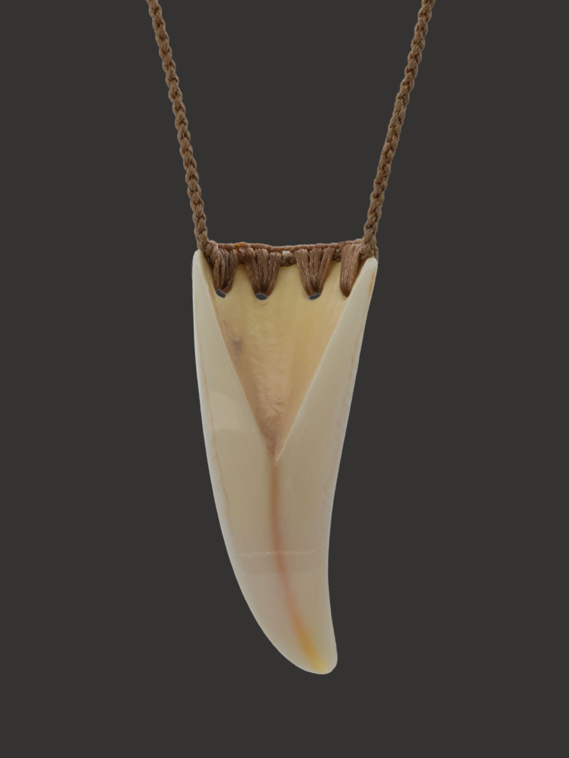 Moko Pounamu Rei Puta Paraoa Genuine Whale Bone Carving - Taikorea