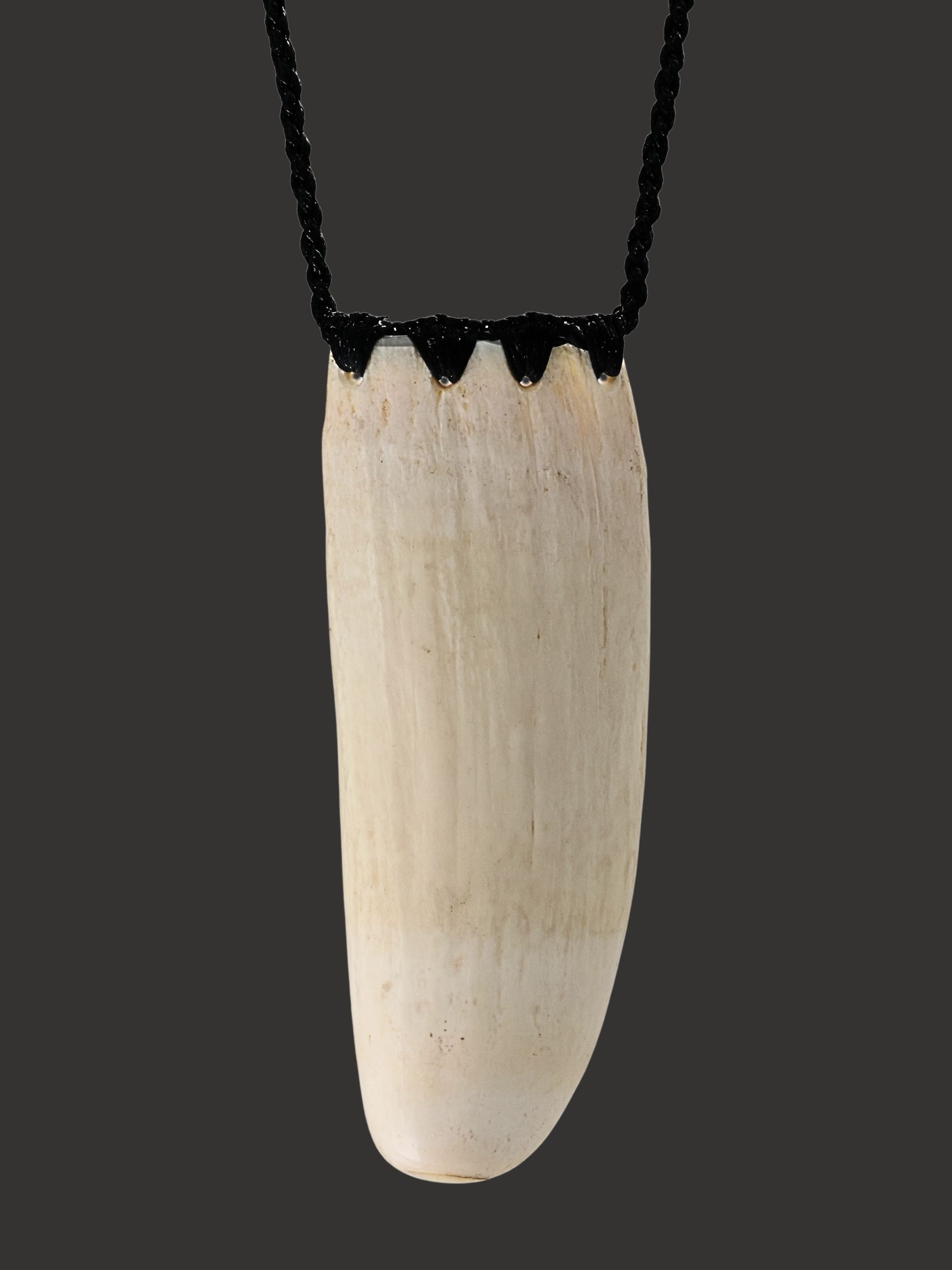 Moko Pounamu Large Rei Puta Paraoa Genuine Whale Bone Carving - Whangaruru