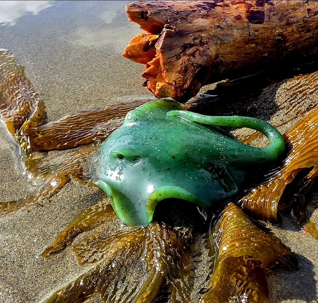 Moko Pounamu Whai Repo (Sting Ray) NZ Genuine Kahurangi Greenstone - Tai Timu