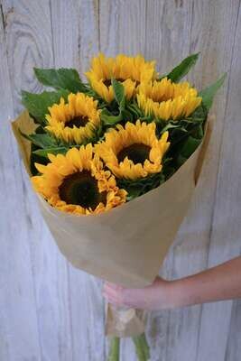 Bund Sonnenblumen ohne Grün