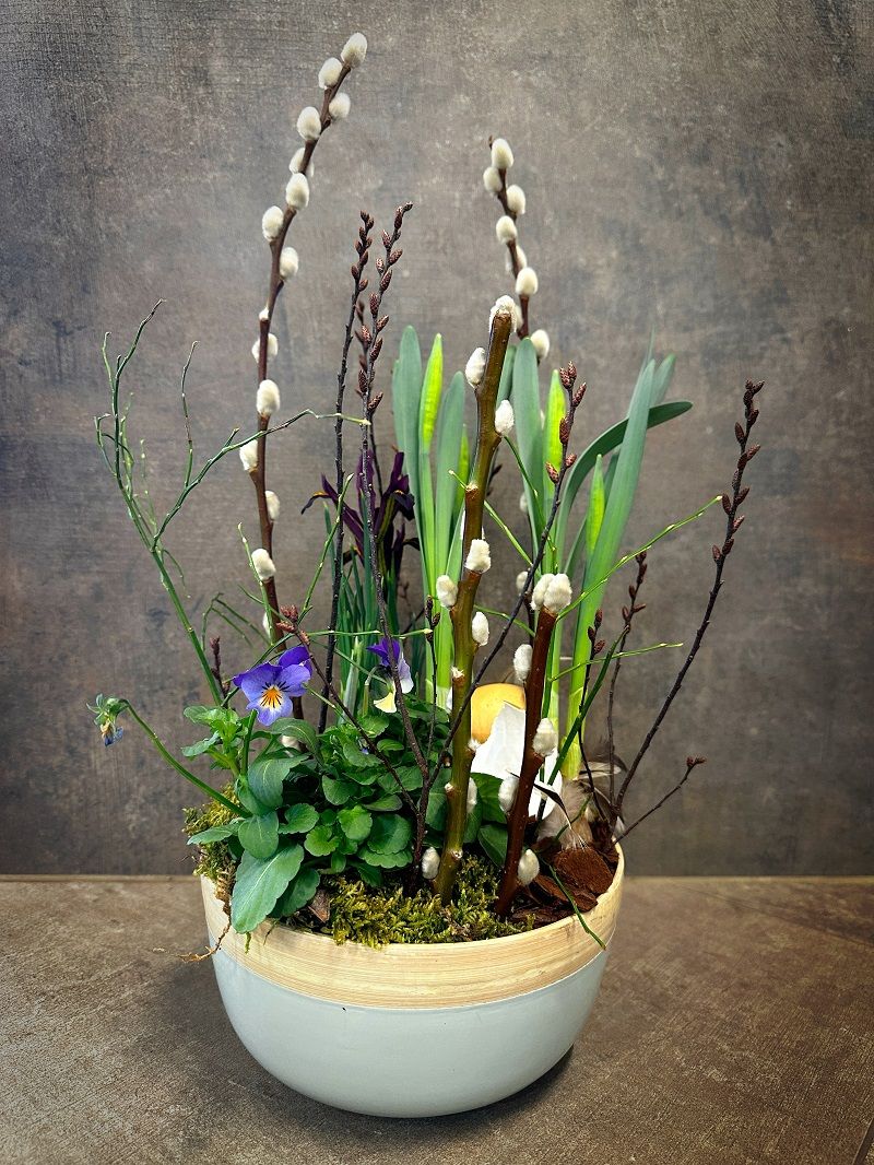 Frühlingsschale bepflanzt