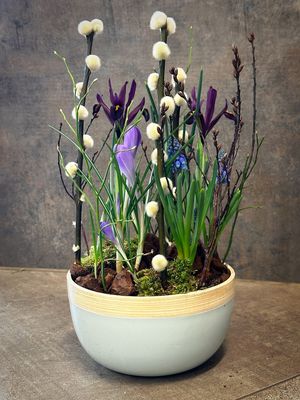 Frühlingsschale bepflanzt