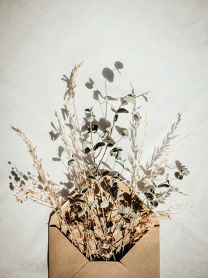 Karten, Geschenke & Deko