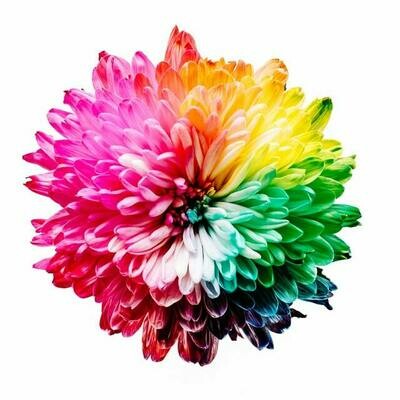 ***the florist's choice***