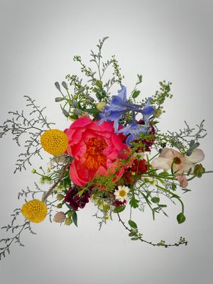 Color Explosion