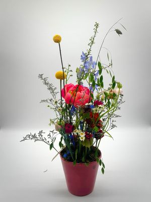 Color Explosion