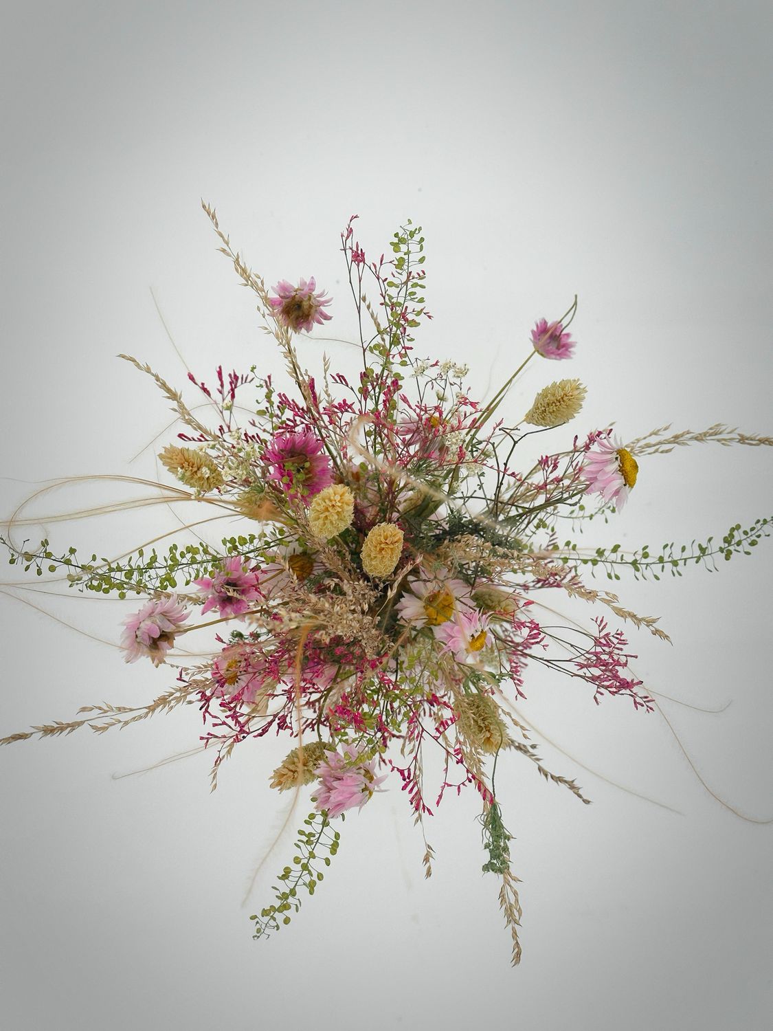 Endless Joy (Trockenblumen) - wähle deine Farbe