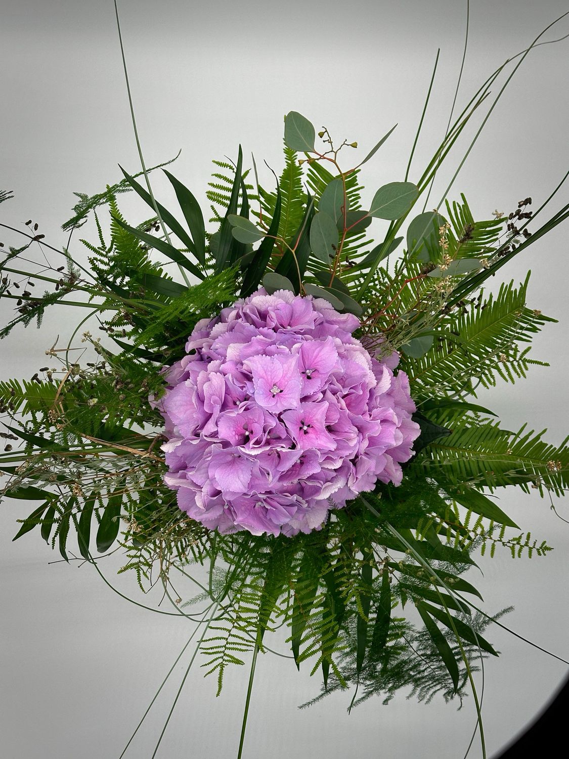 Hydrangea Love