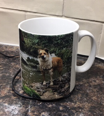 Mug (personalise with your picture, logo or slogan)