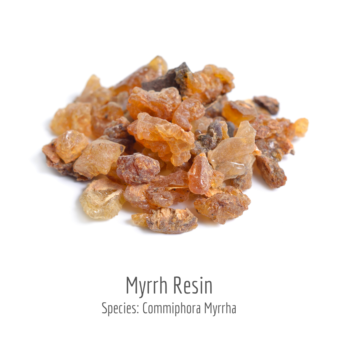 Myrrh Resin (Commiphora Myrrha) 3,53oz (100g)