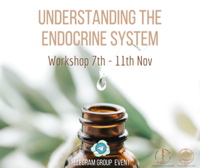 Understanding The Endocrine System