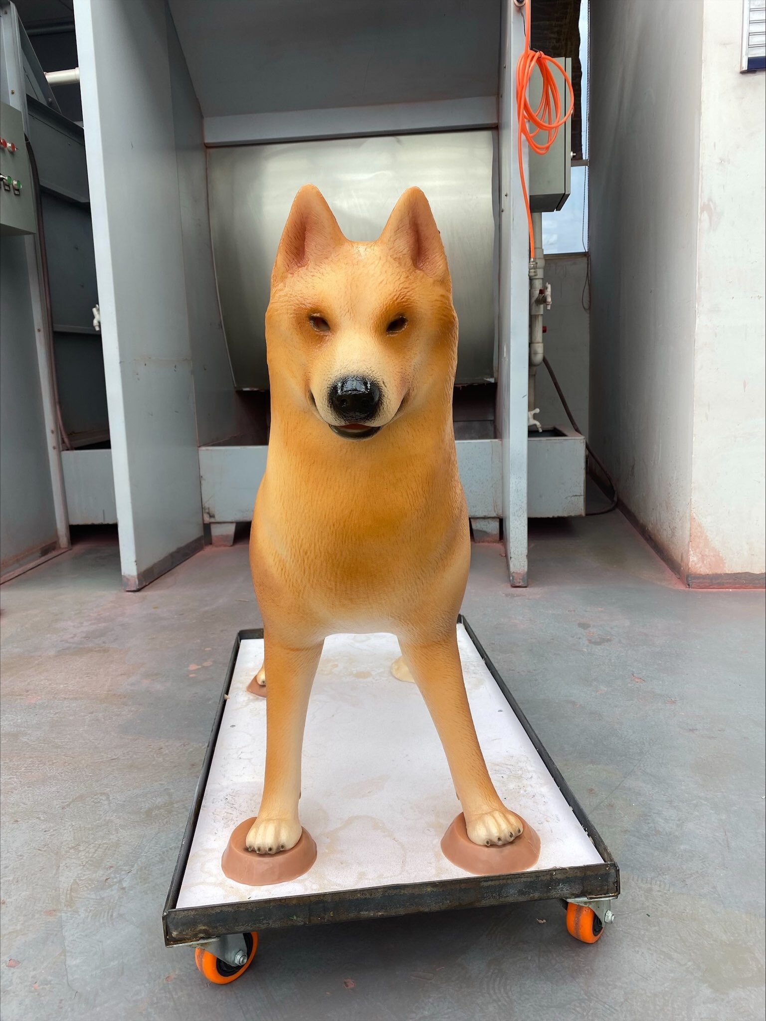 People can send in a pic of the child, or dog, that they'd like their ...