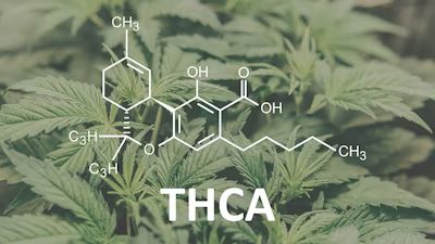 THCA
