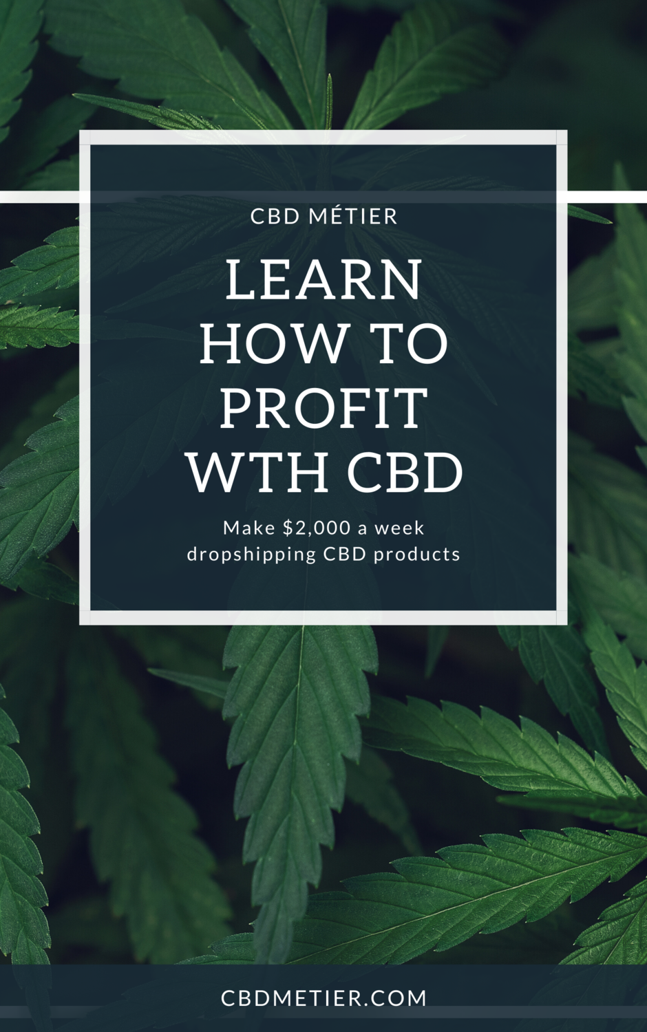 CBD Métier- Learn How To Profit With CBD