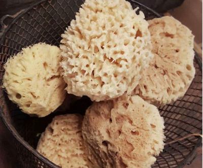 All Natural Sea Wool Sponges