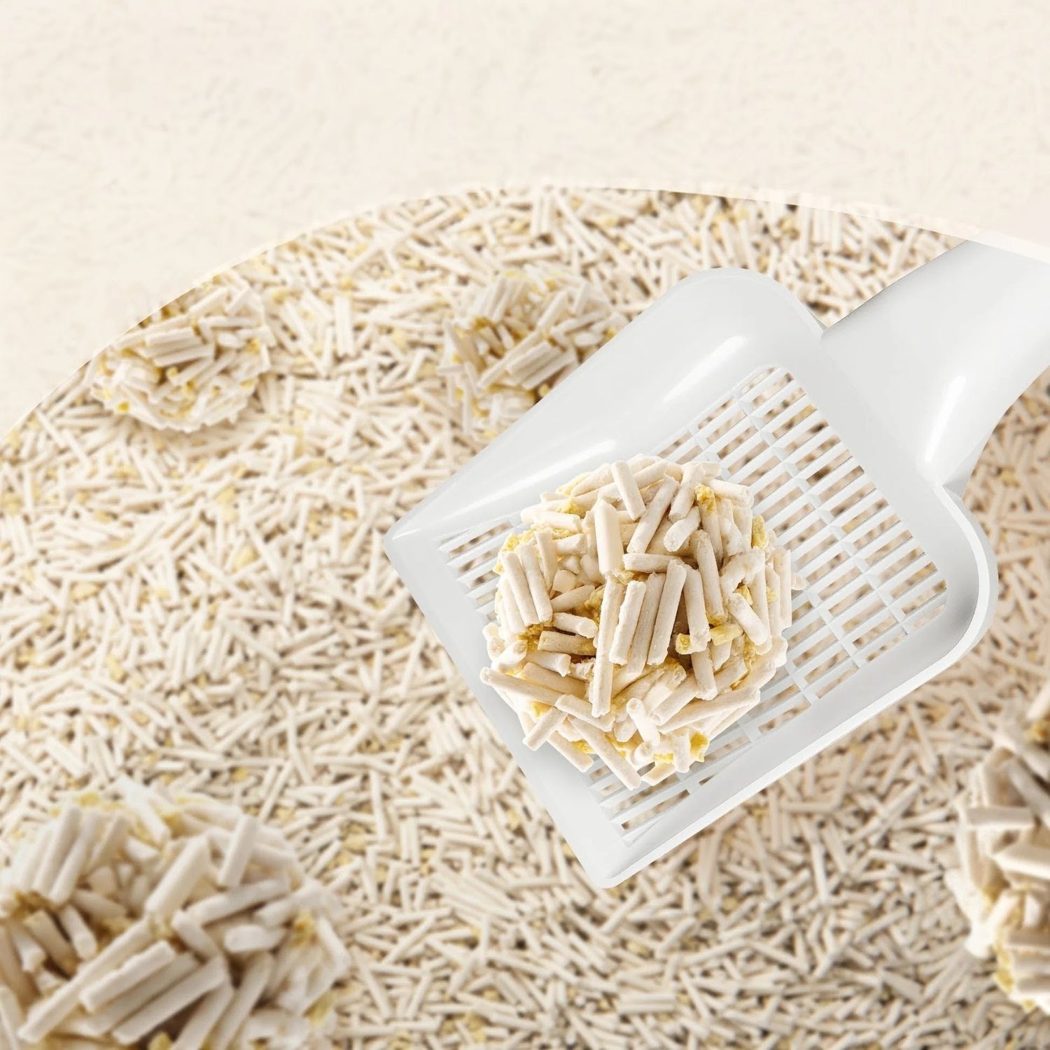 E-commerce Product Image