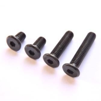 M5 Ultra Low Profile Screw