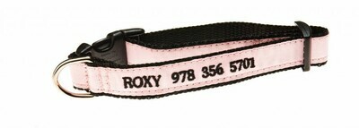 Dog Collar Thin