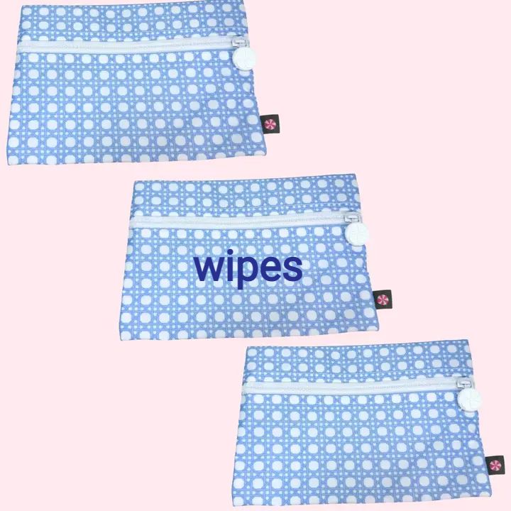 Laminated Everyday Pouch