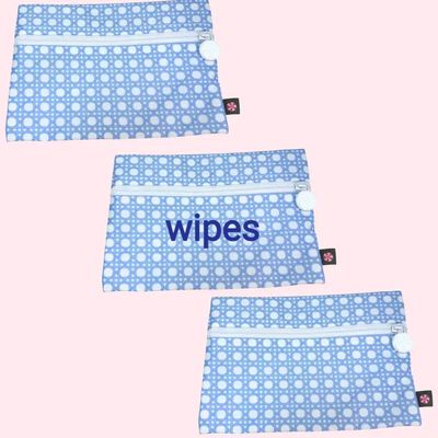 Laminated Everyday Pouch