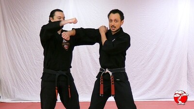 #1 Yellow Belt DVD - Retana Kenpo Karate System