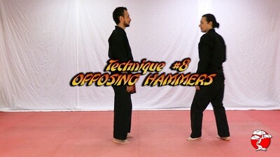 #2 Orange Belt DVD - Retana Kenpo Karate System