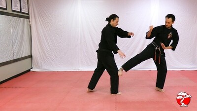 #2 Orange Belt - Digital Download Video & Manual