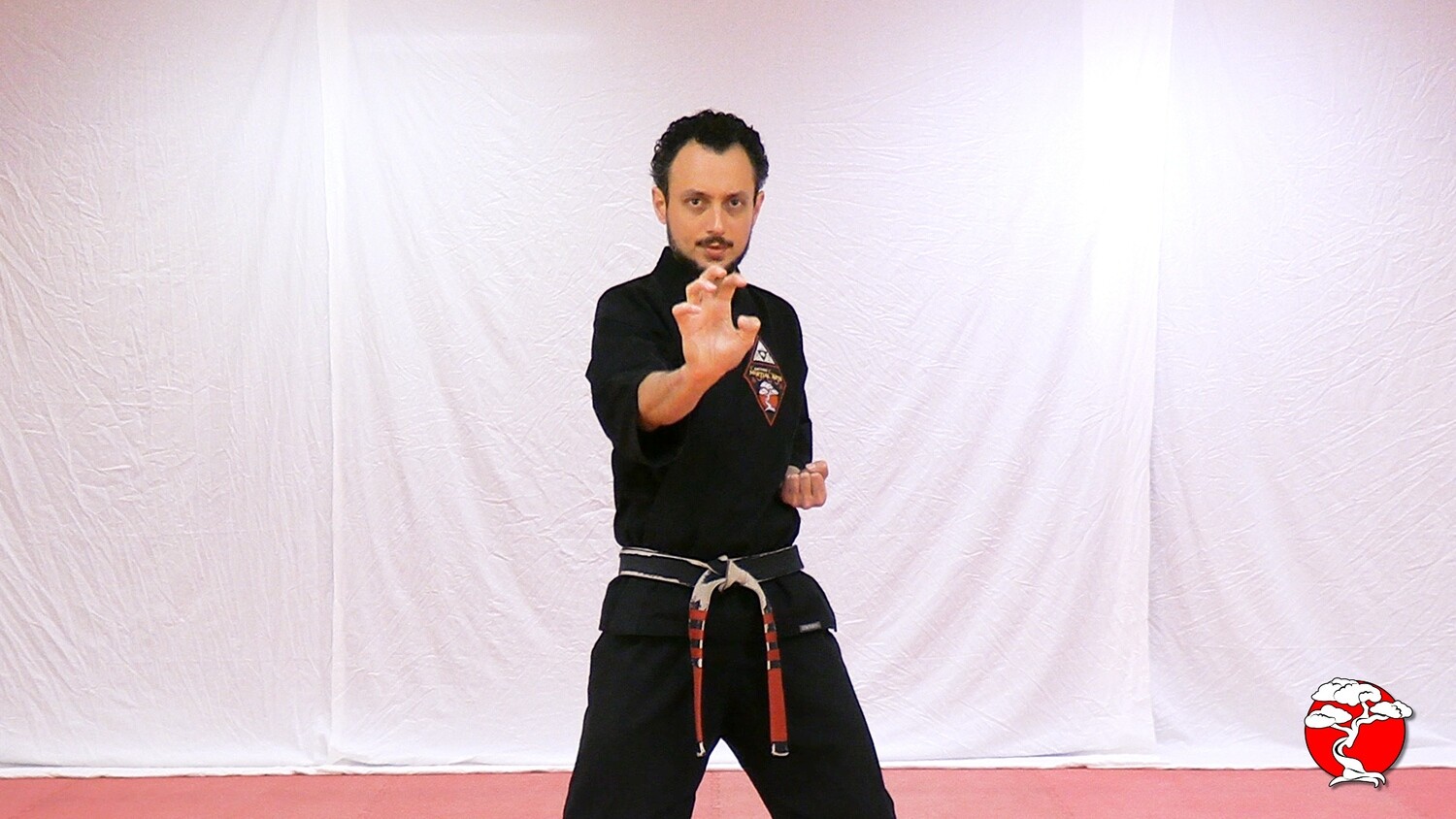 Orange Belt DVD Retana Kenpo Karate System